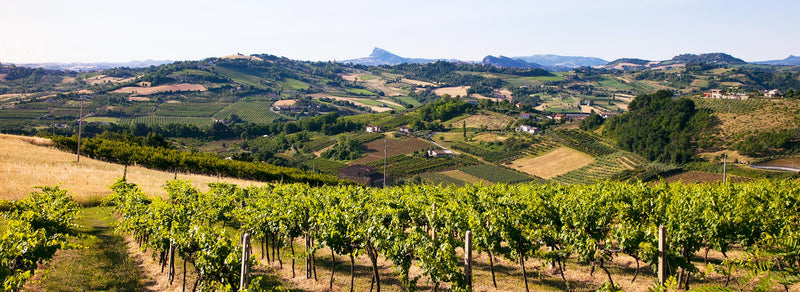 Colli di Romagna: 2ª tappa del Brevetto Caveja