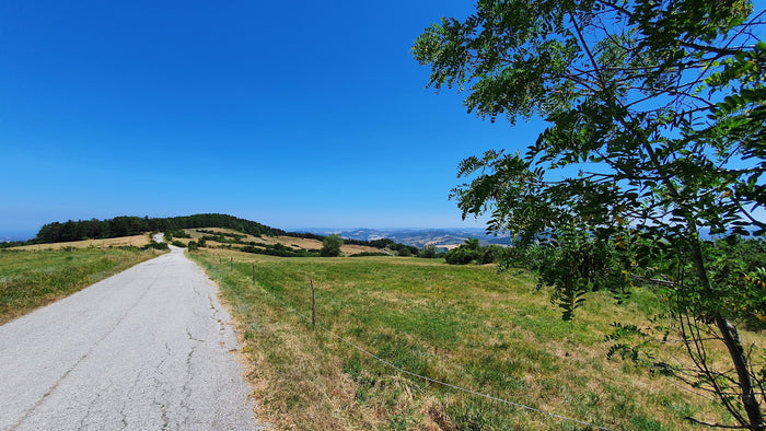 Tutti i percorsi della Ride4Bronz 2026