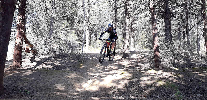 Analisi del tracciato CAVALLINO RACE