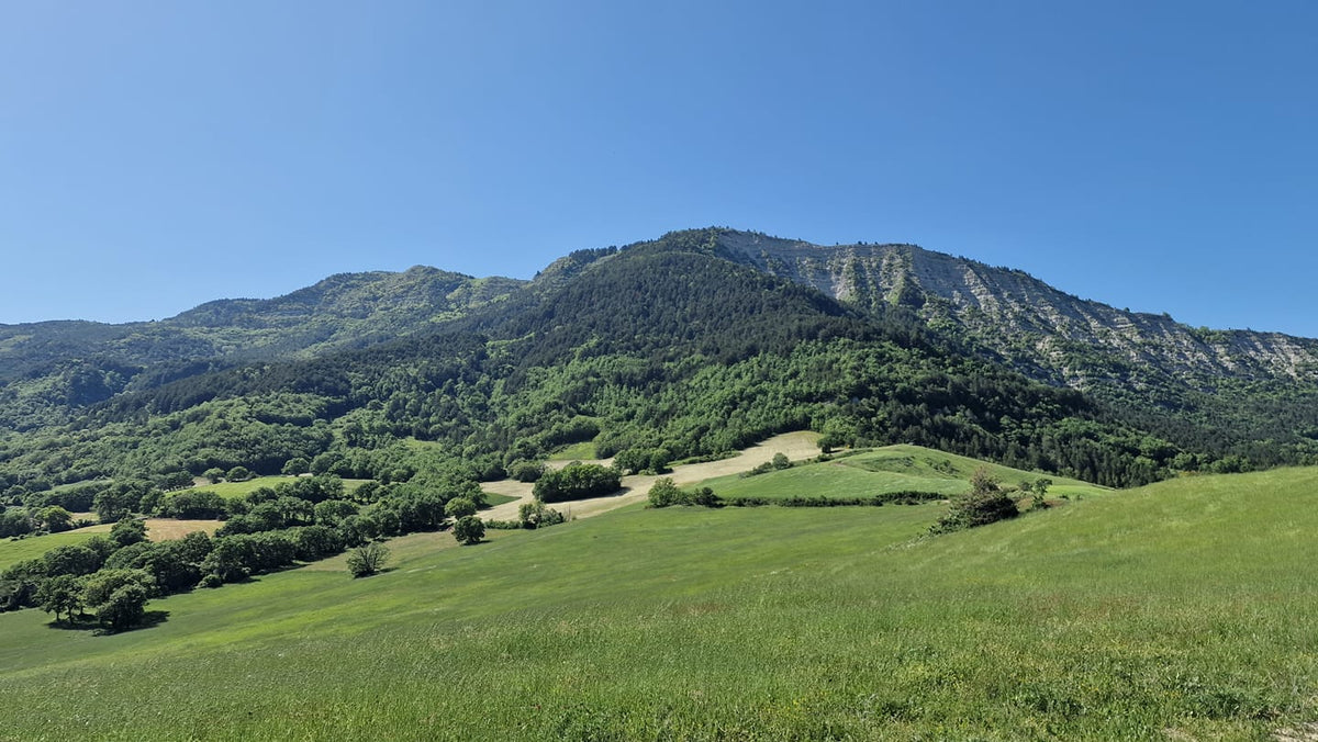 Carpegna mi Basta 2023: pronto un super week-end di eventi