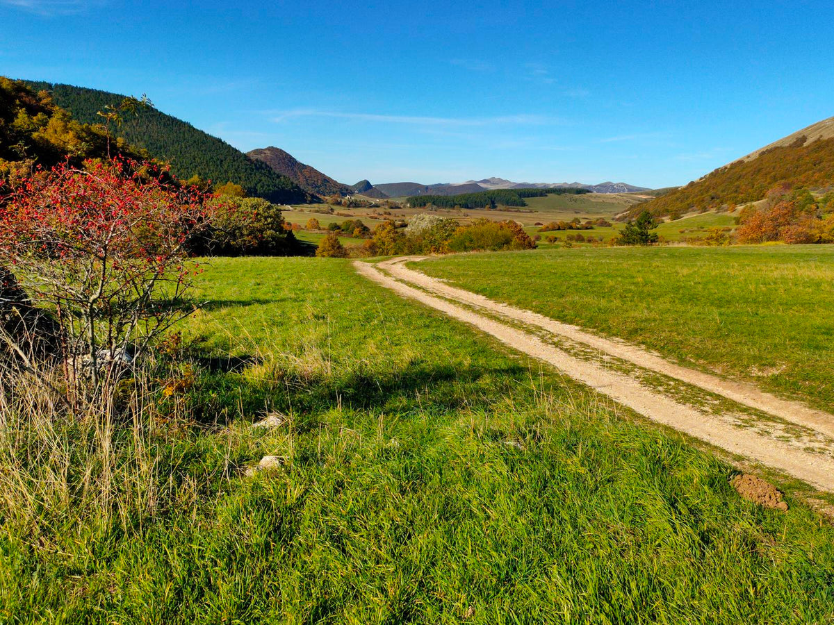 Piani di Montelago in Mtb