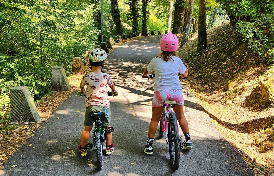Togliamo le E-Bike ai nostri giovani!