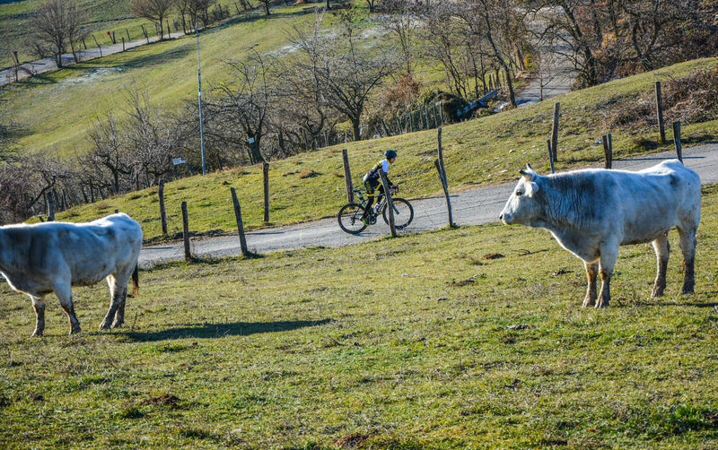 Tour3Regioni TRAIL: cinque giorni nel cuore del Montefeltro tra mare, borghi UNESCO e Appennino