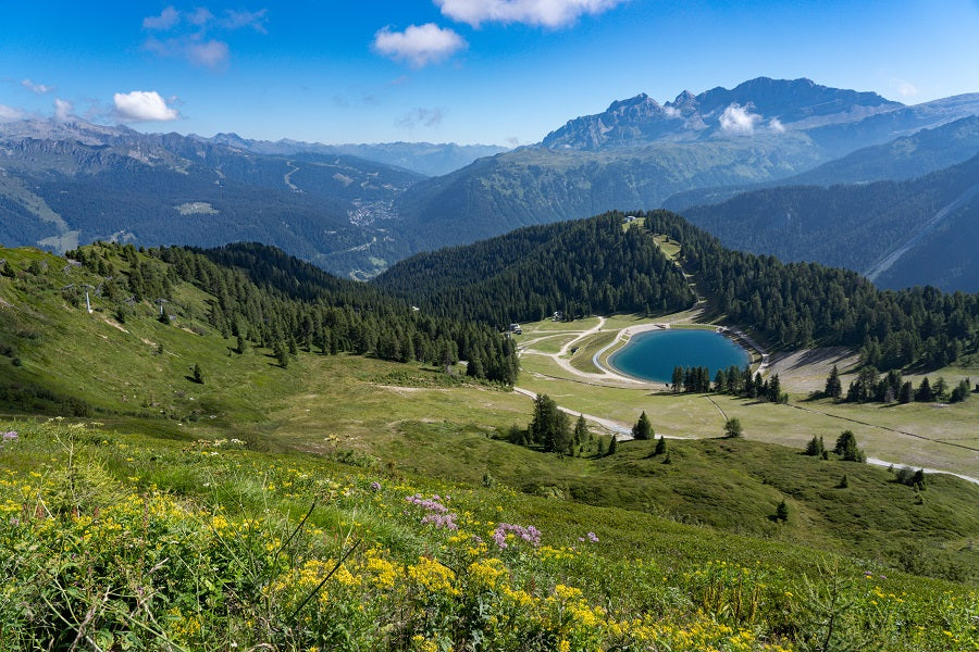 L’ottima estate dell'Area Campiglio Dolomiti di Brenta. Il merito? Soprattutto delle Mtb