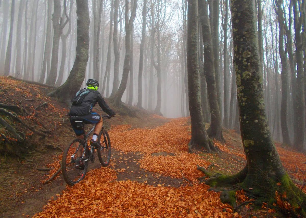 Foliage in Mtb, spettacolo autunnale: dove cercarlo e come affrontarlo