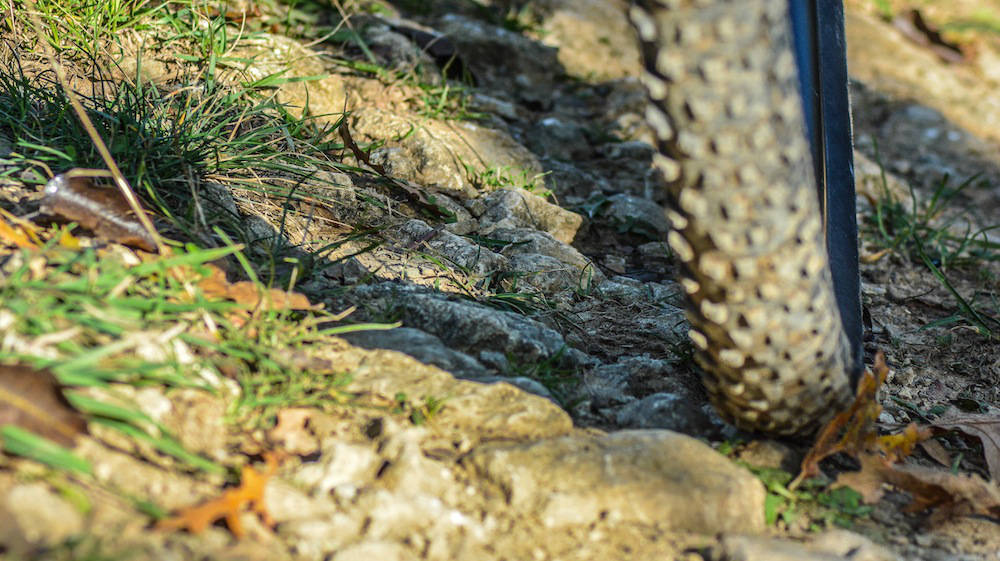Prossimo appuntamento - Santa Rita Race