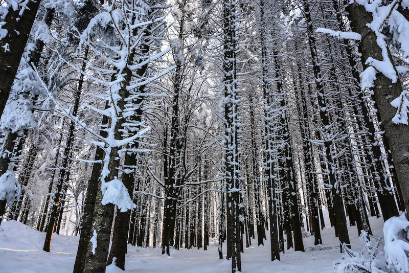 Pronto il Caveja Snow Race: ecco come funzionerà