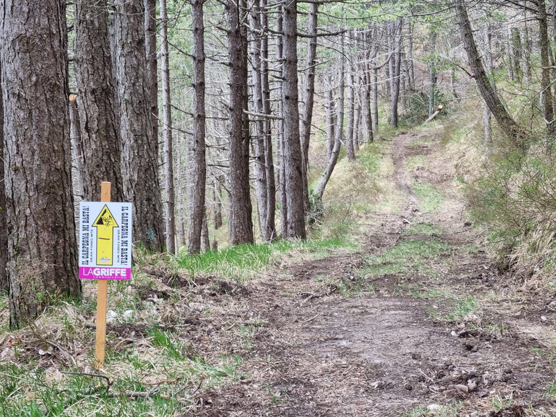 Si alza il sipario sul Percorso de "Il Carpegna mi Basta" 2023