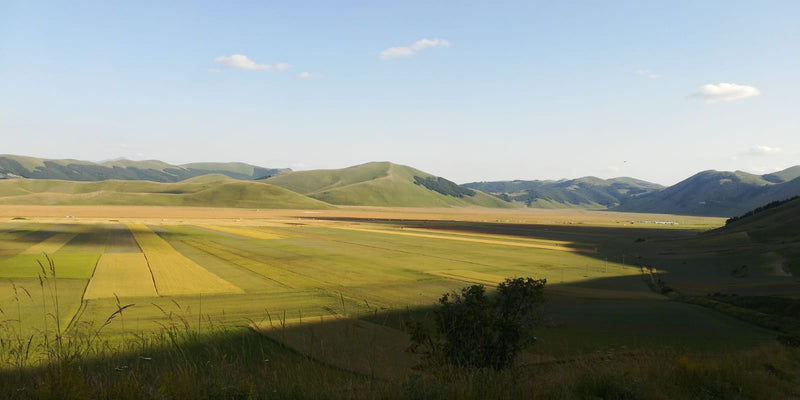 Castelluccio, i fiori, il terremoto e la Mtb...