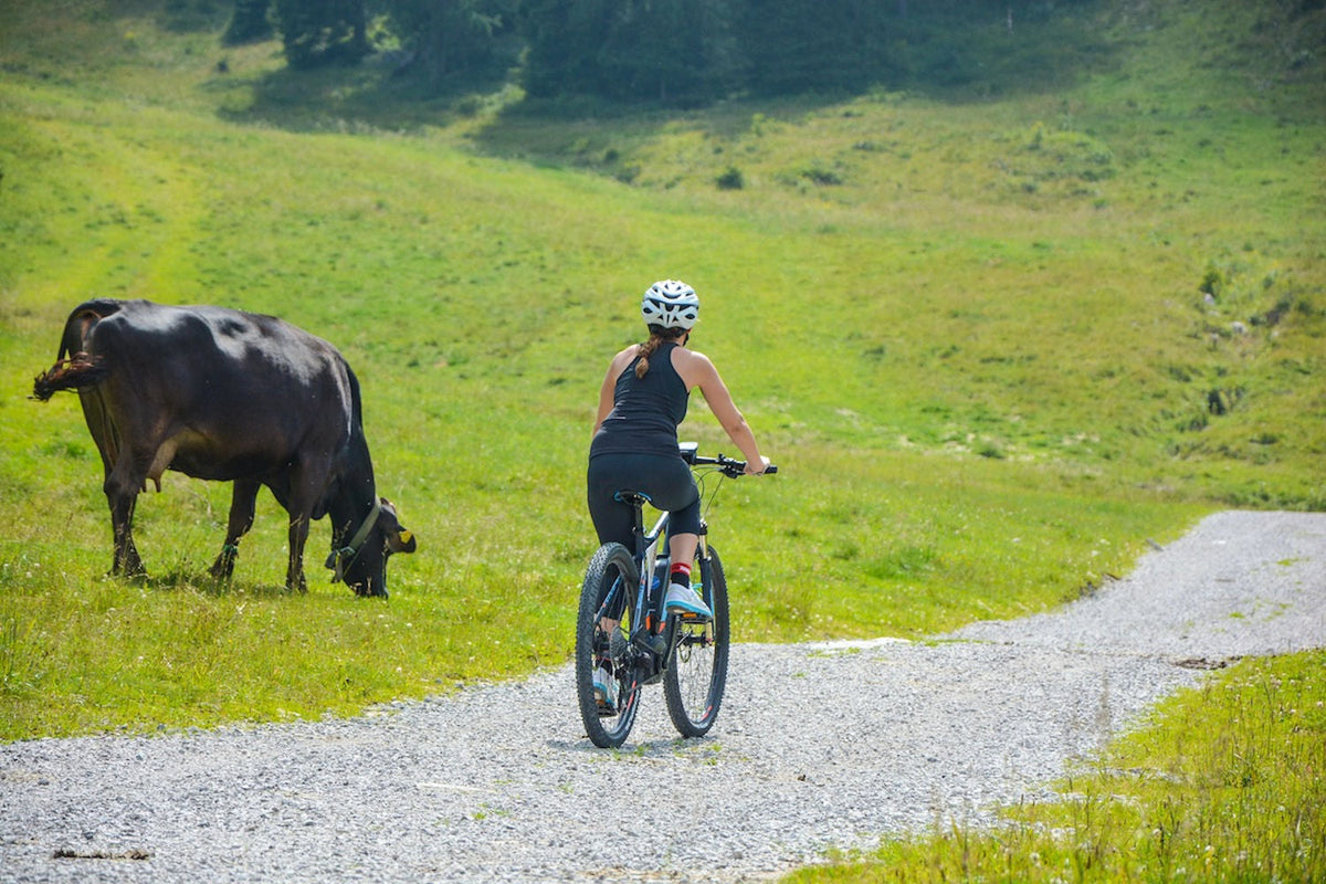 Novità in vista al Tour3Regioni e Italian6Races per il settore e-Bike
