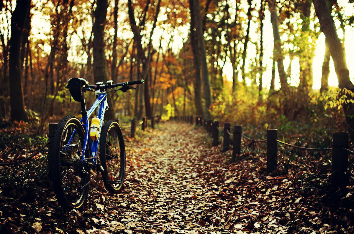 Peschici e la Foresta Umbra in Mtb
