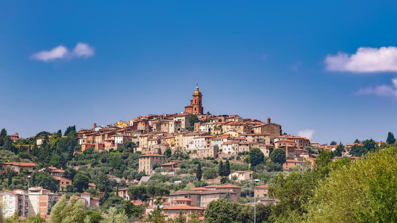 Sinalunga, patria della razza chianina e prima tappa del Tour3Regioni 2026
