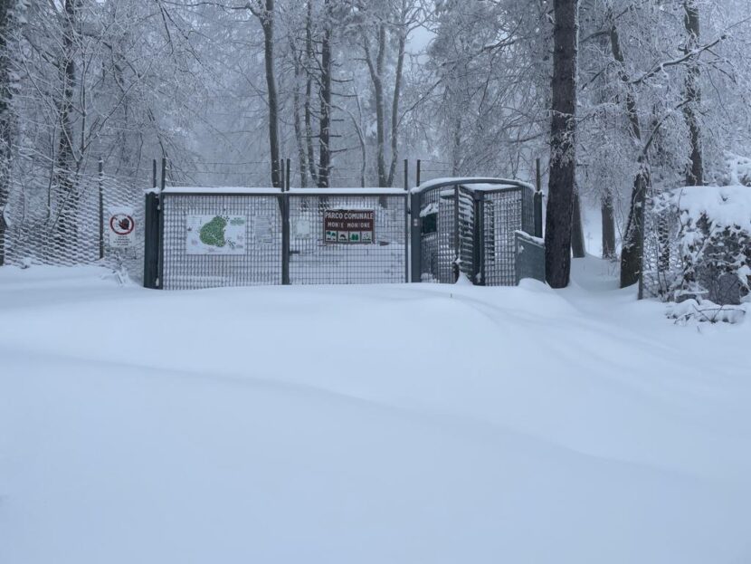 A rischio la "prima" del Caveja 2023: a Villagrande oltre 60 cm di neve