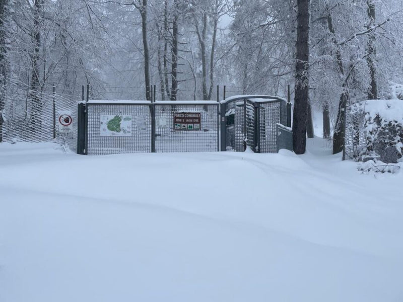 A rischio la "prima" del Caveja 2023: a Villagrande oltre 60 cm di neve