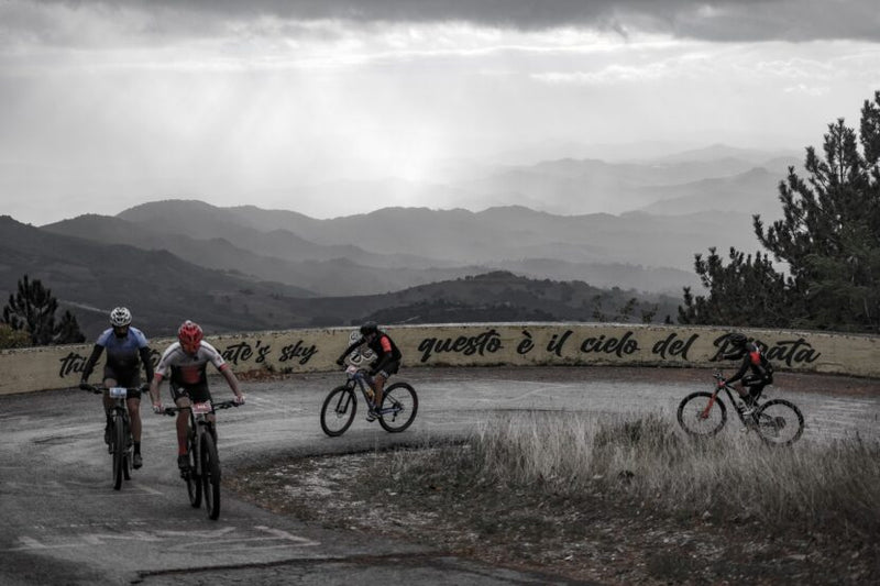 Best Of 2023 Bike-Advisor