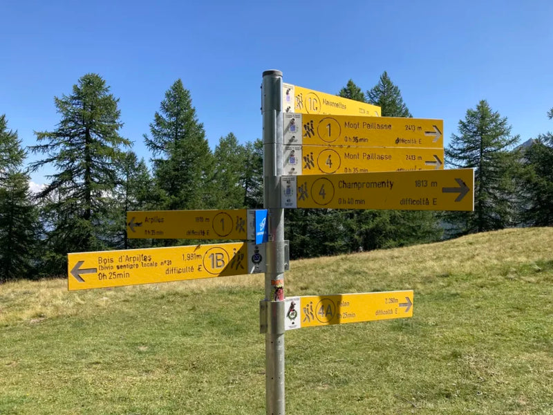Da Introd al Piccolo Monte Bianco. Prenotato per l'estate!
