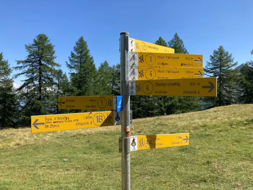 Da Introd al Piccolo Monte Bianco. Prenotato per l'estate!