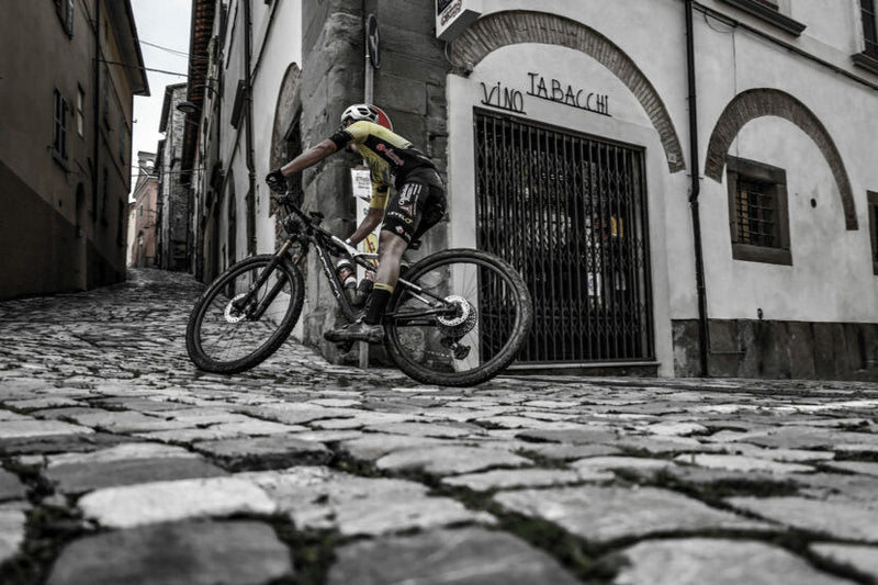 Verso il 2025: in arrivo tante conferme e molte novità