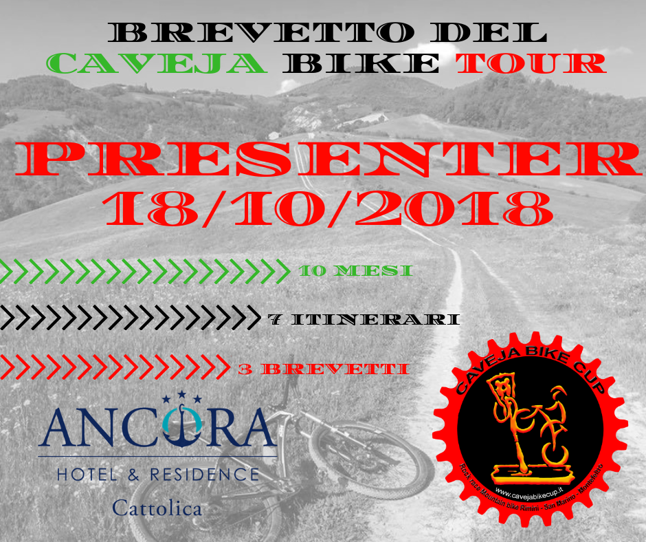BREVETTO 2019
